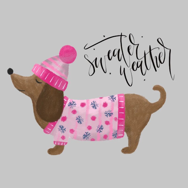 Teckel avec pull et chapeau Pull Météo rose