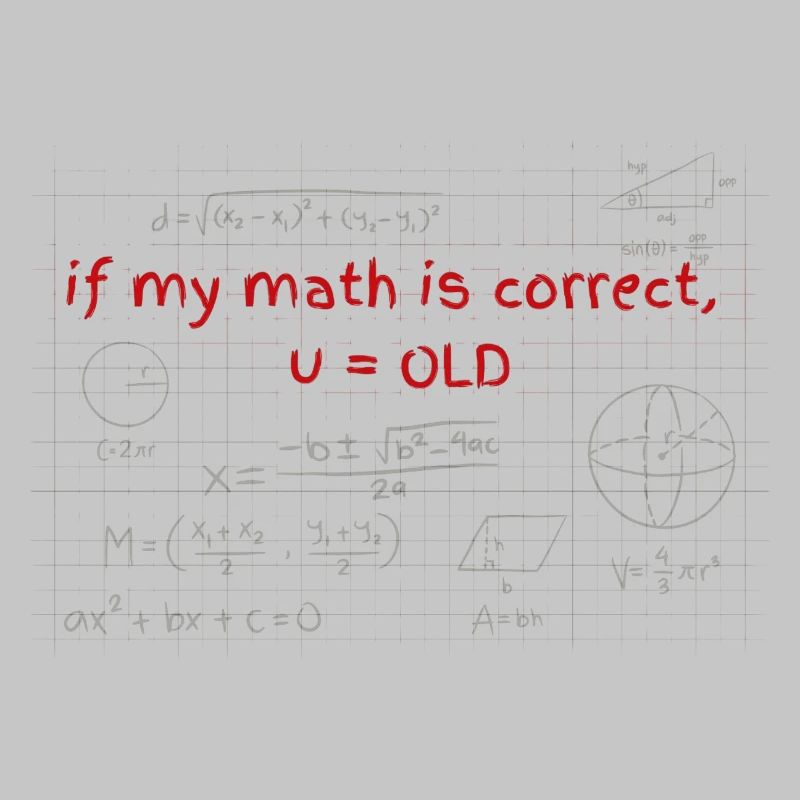 Birthday gift for math fans