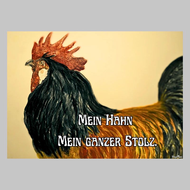 Stolzer Hahn 🐓