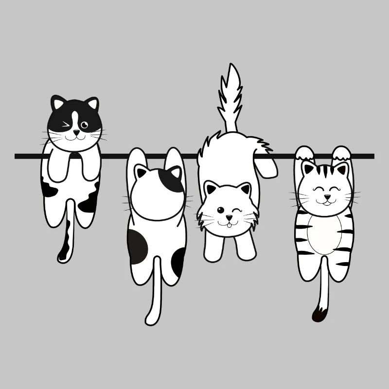 Chat de lessive