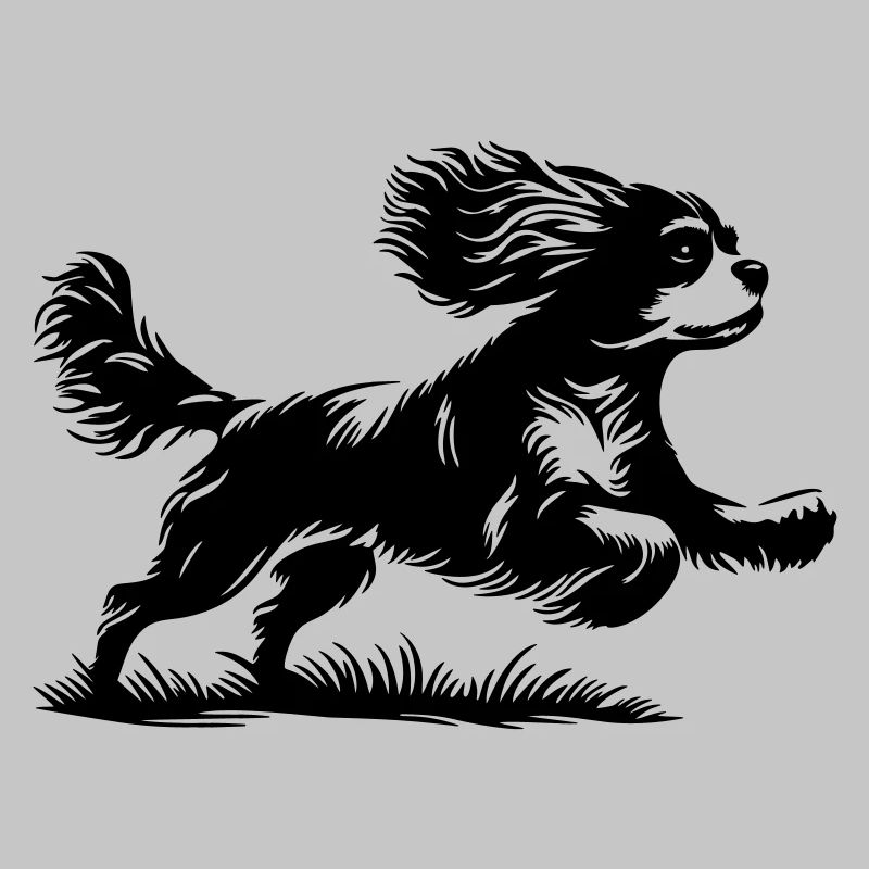 Cavalier King Charles Spaniel