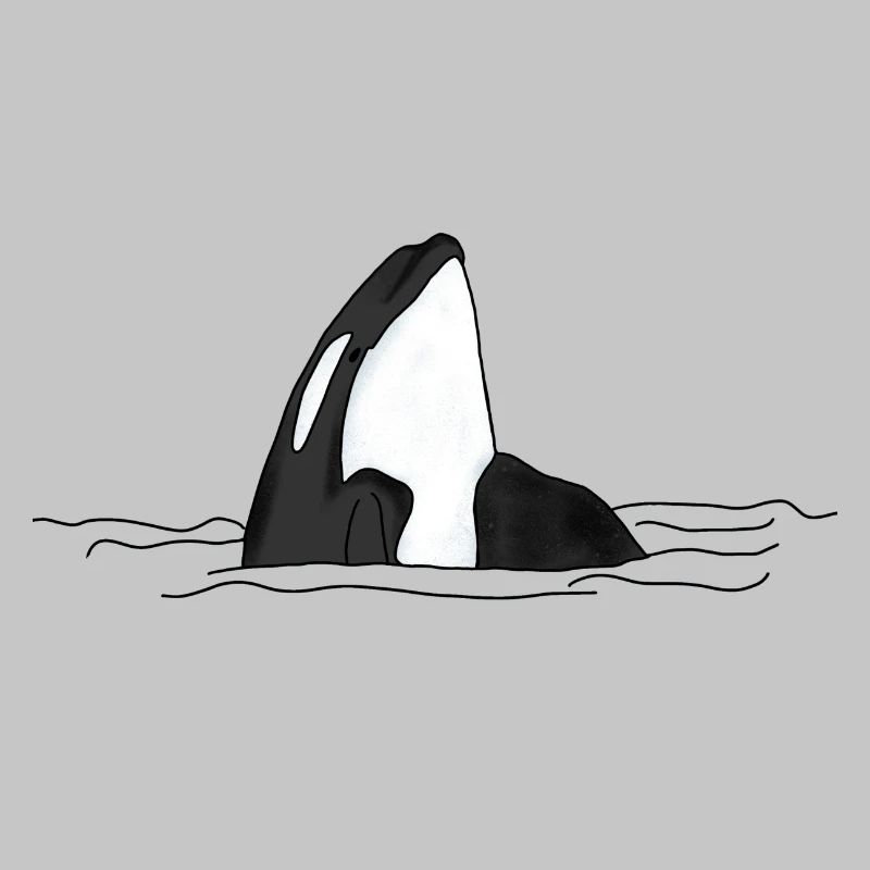 Orca
