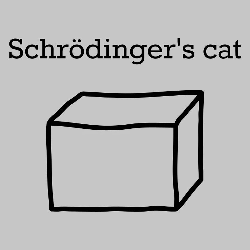 Schrödingers Katze – Lustiges Quantenphysik Nerd