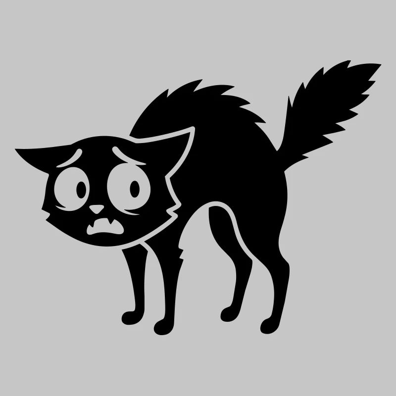 Chat effrayé