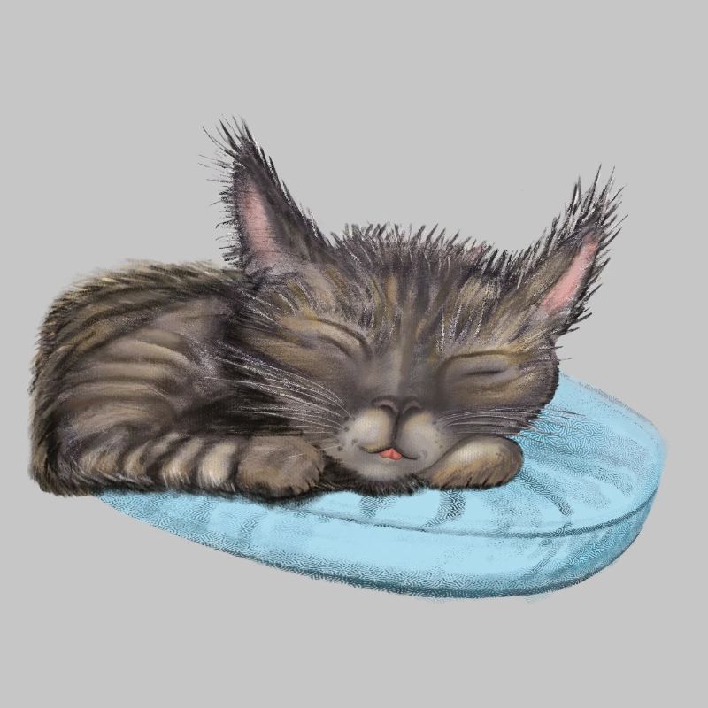 Sleeping Cat