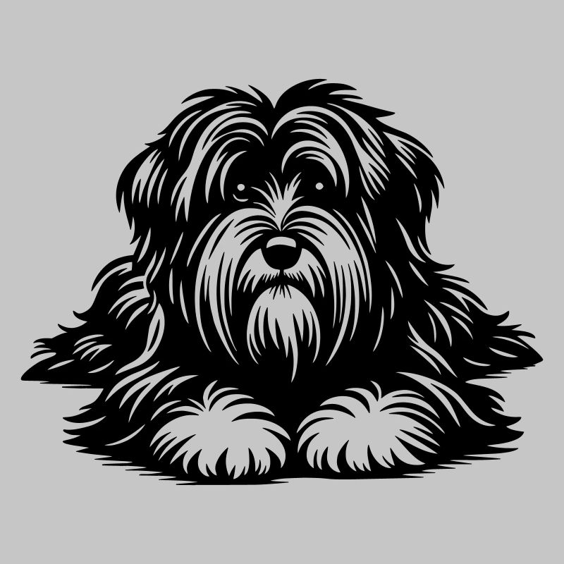 Tibet Terrier