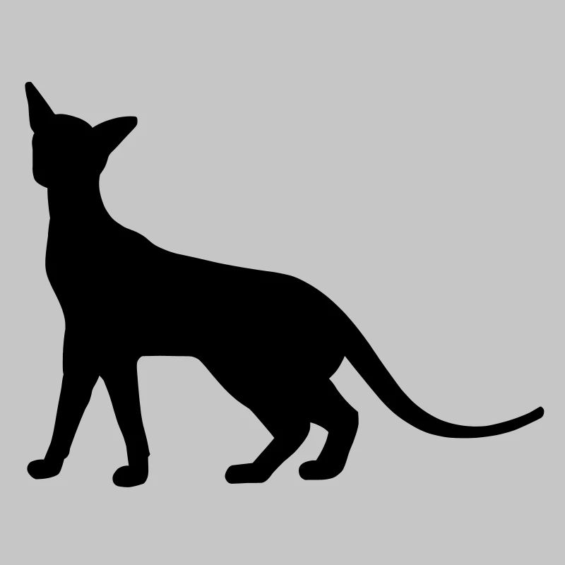 Siam Katze