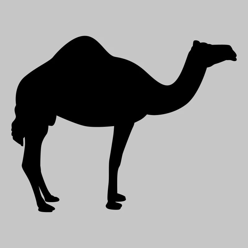 Kamel | Wüste | Dubai | Wüstenschiff