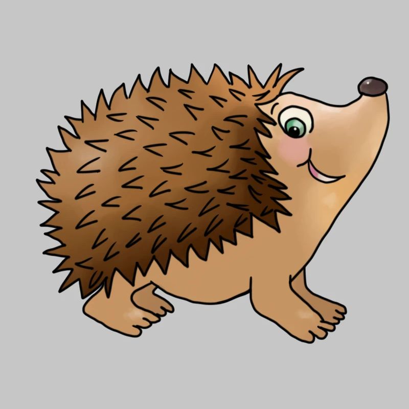 Friendly hedgehog