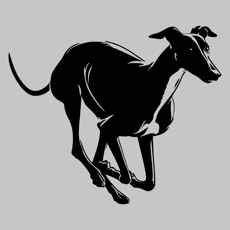 Greyhound