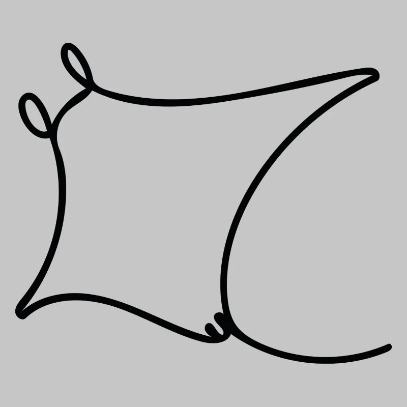 Oceanic Manta - Rochen