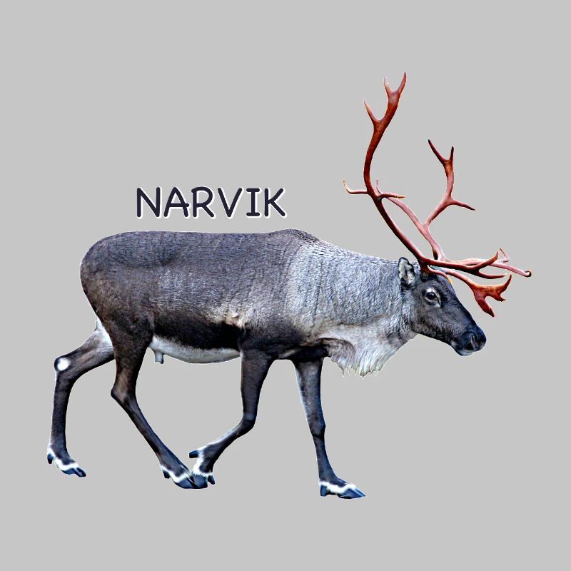 NARVIK