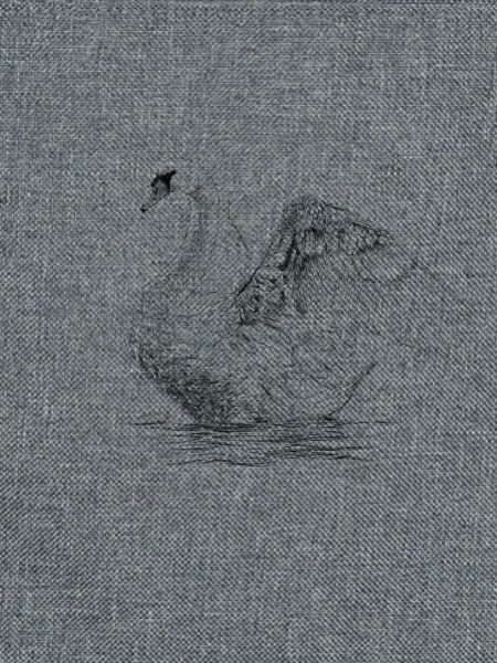 Schwan
