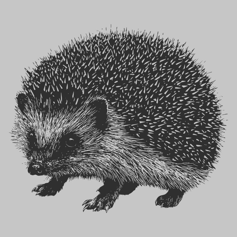 Gartenigel