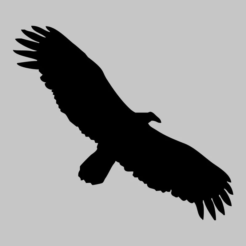 Condor