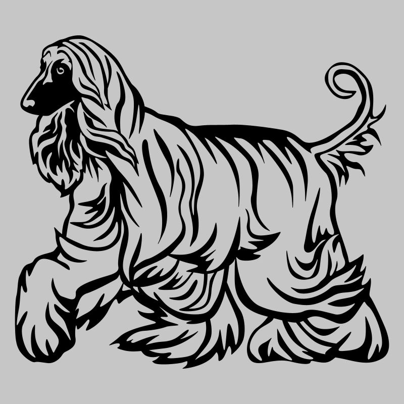 Afghane