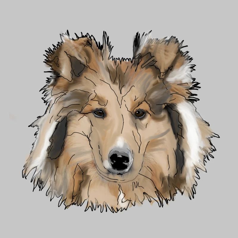 Collie