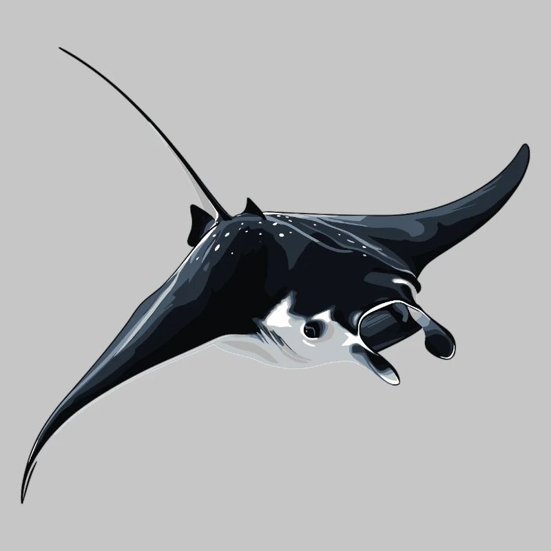 Rochen Mantarochen
