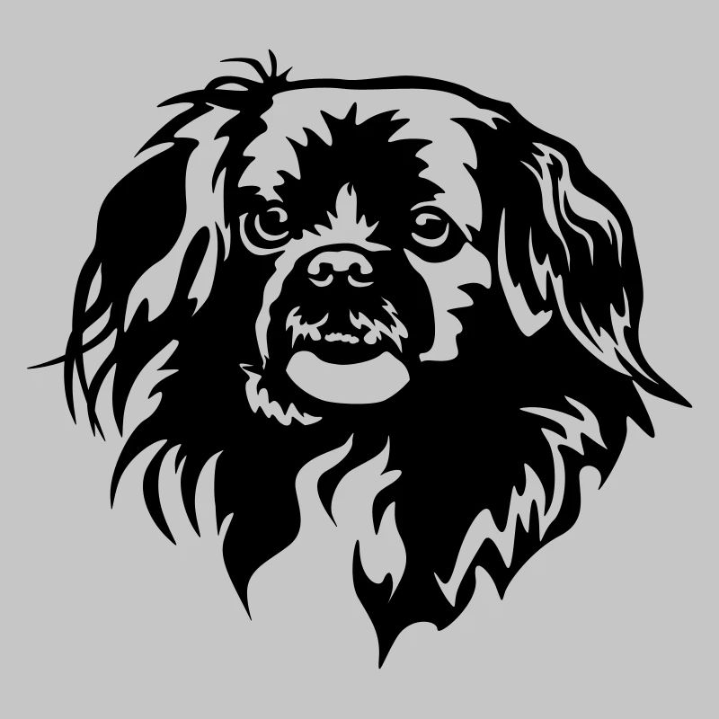 Tibet Spaniel Kopf