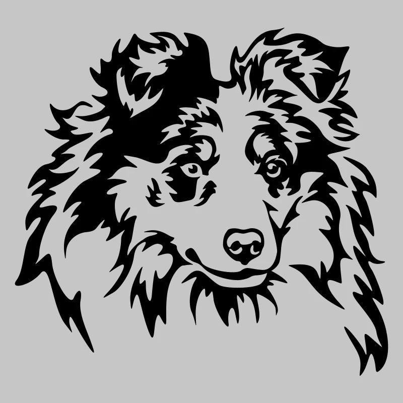 Sheltie Kopf