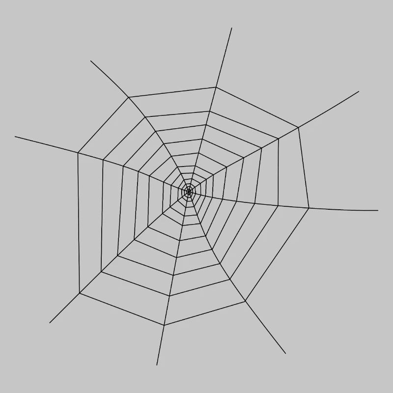 Spider Web