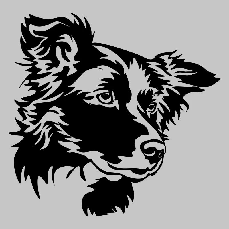 Border Collie Head