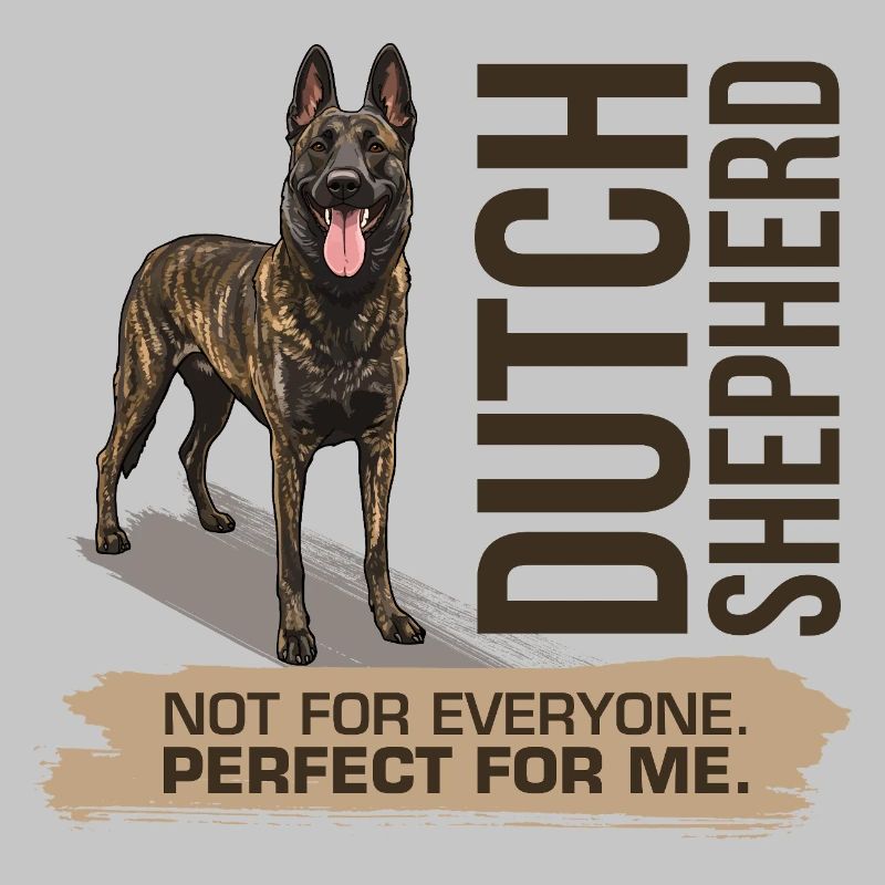 Dutch Shepherd - Dutchie 