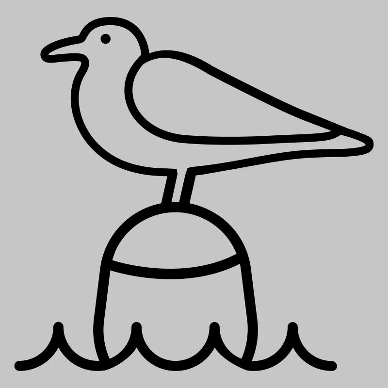 Seagull Moin