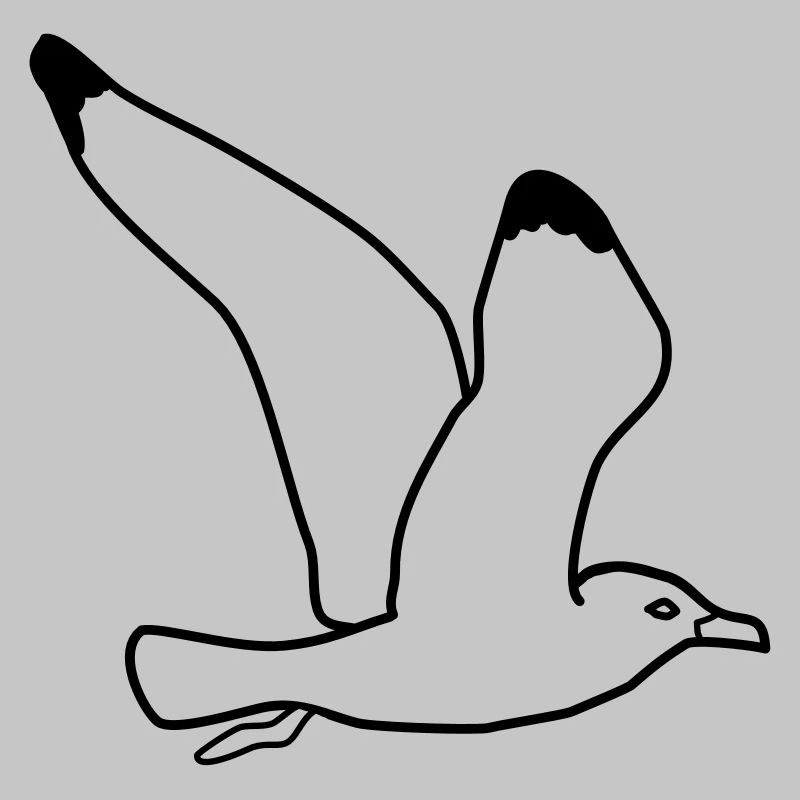 fliegende moewe vogel urlaub