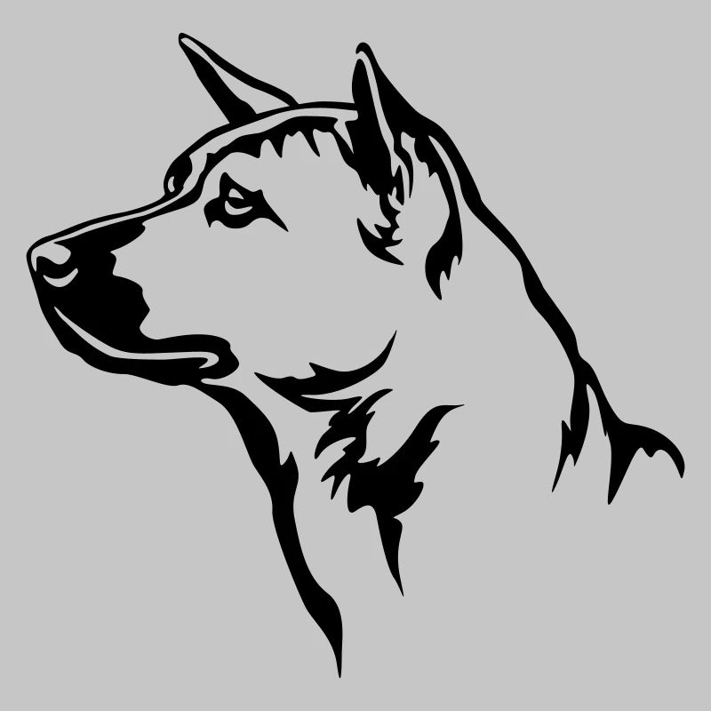 Thai Ridgeback Kopf