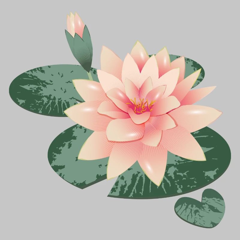 Fleur de nénuphars avec bourgeon dans l’étang de nénuphars