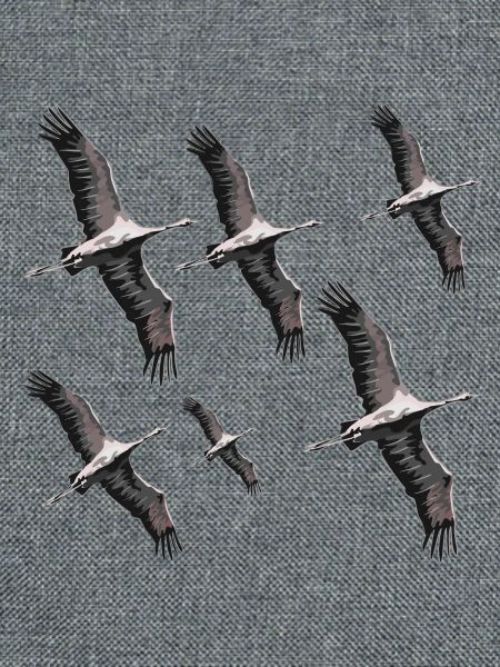 Vogelzug Kraniche