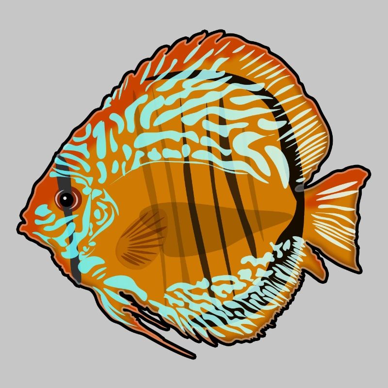 Discus Fish Aquarium Drawing