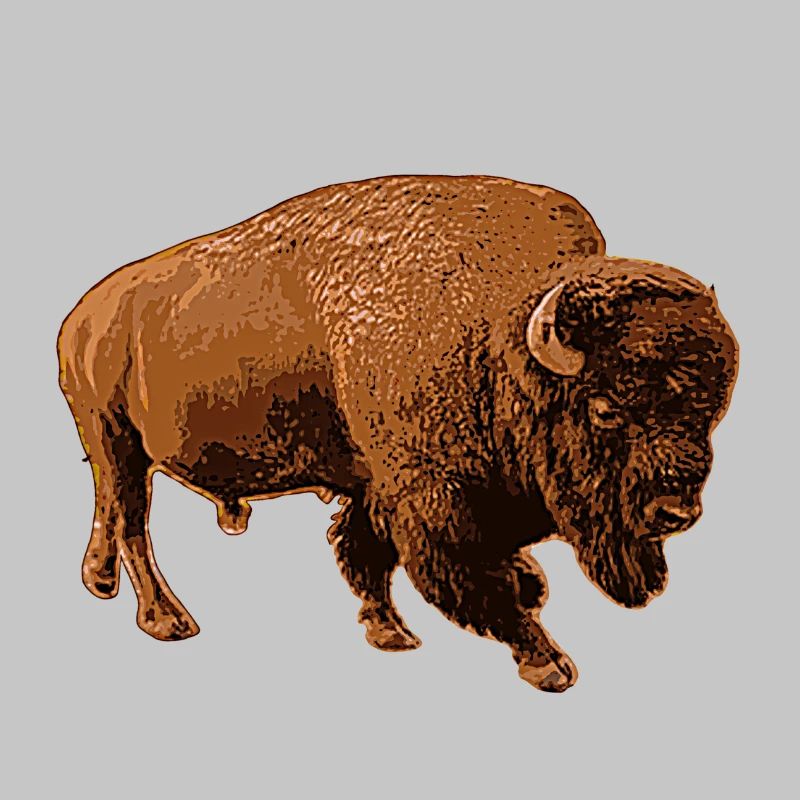 Bison