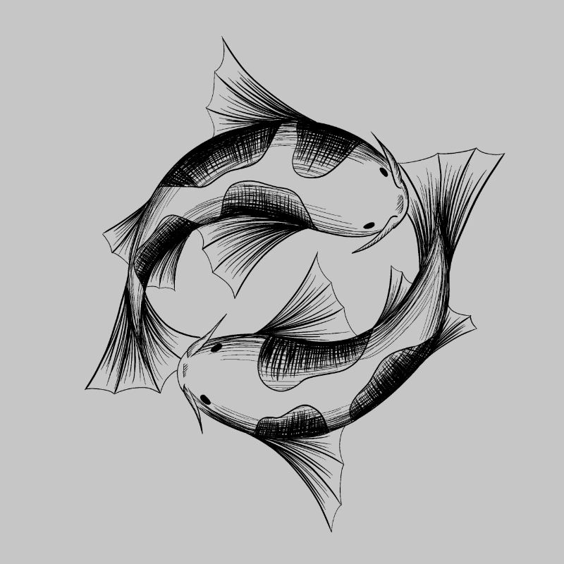 Kois