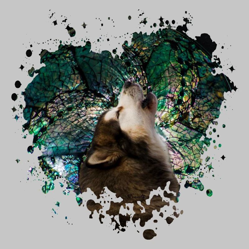 Howling malamute