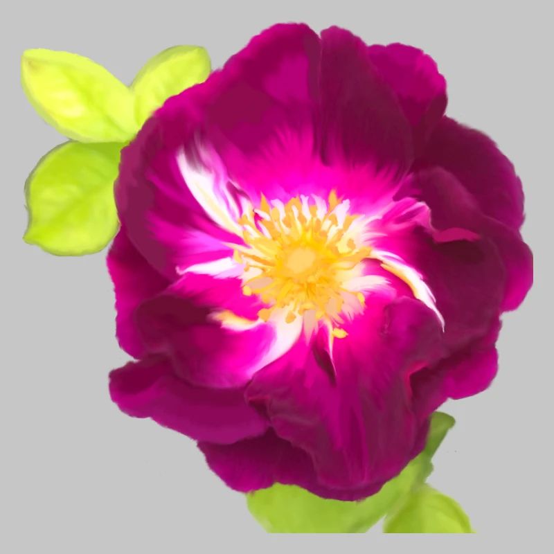 Purple Rose - Gemälde