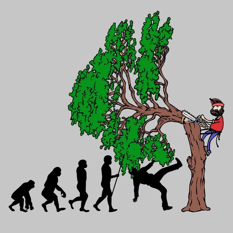 Tree Evolution Bois Bûcheron Forêt de bûcherons