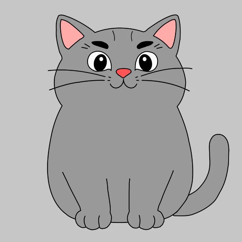 Gray Cat