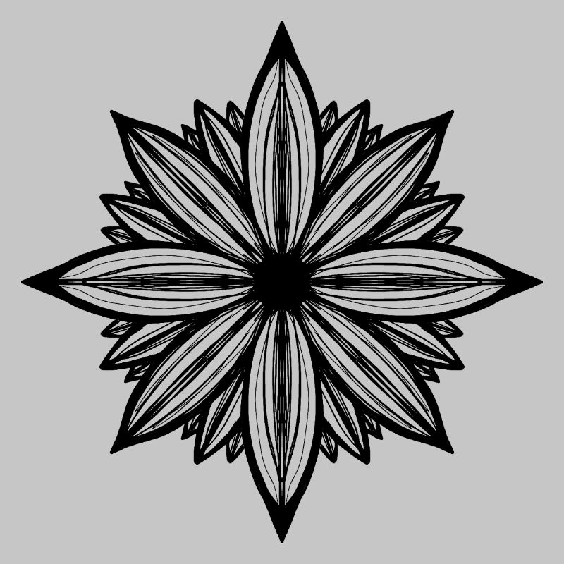 Daisy flower
