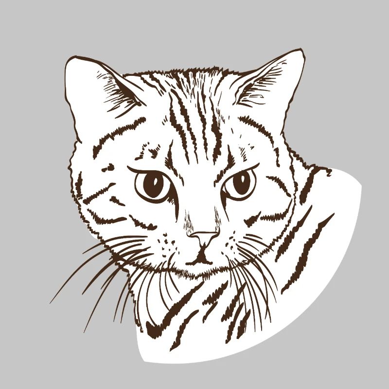 Katze