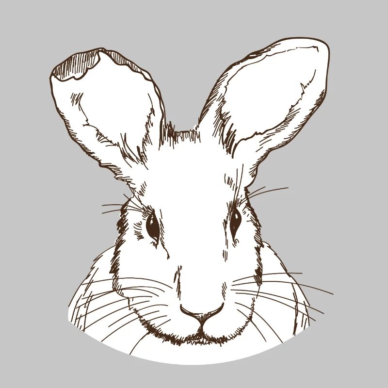 Lapin