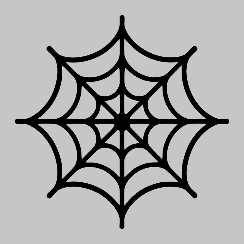 Spinnennetz Spinne