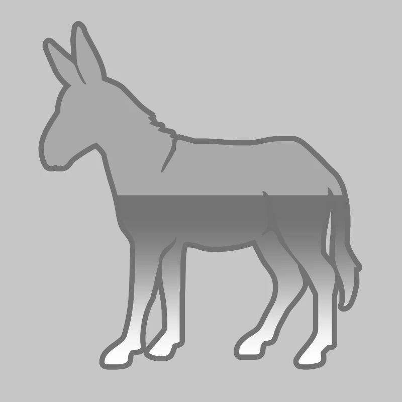donkey