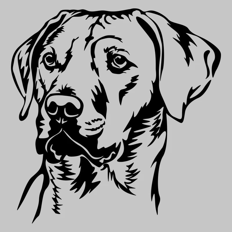 Rhodesian Ridgeback head