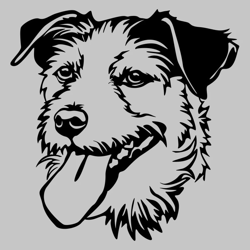 Parson Russel Terrier tête