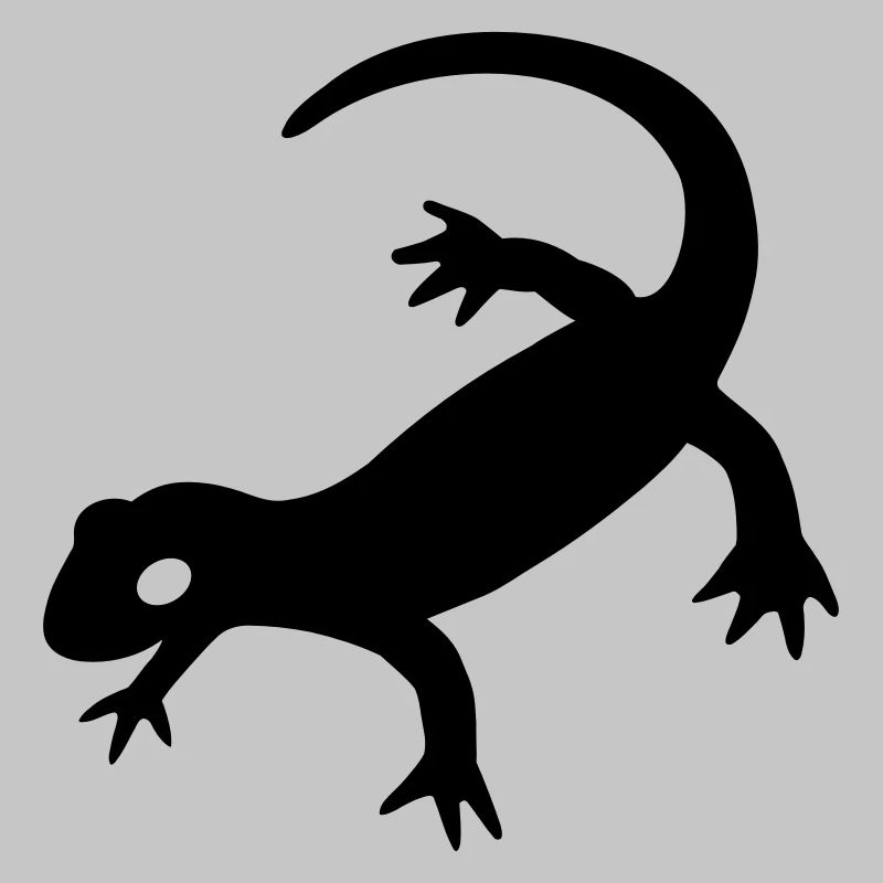 Salamander 2023