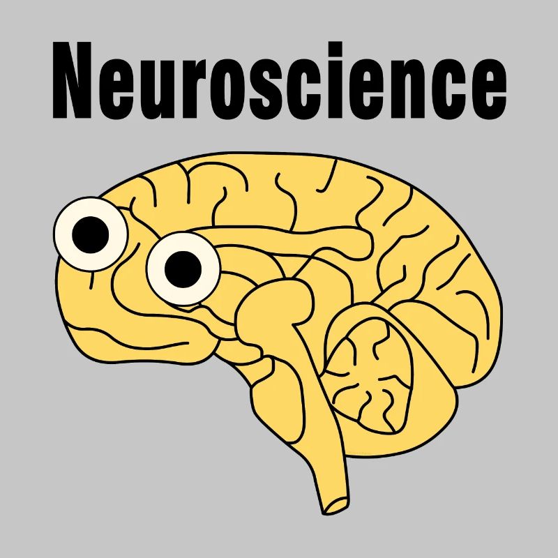 Neuroscience Brain