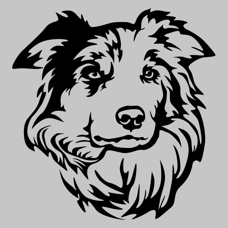 Tête de Border Collie
