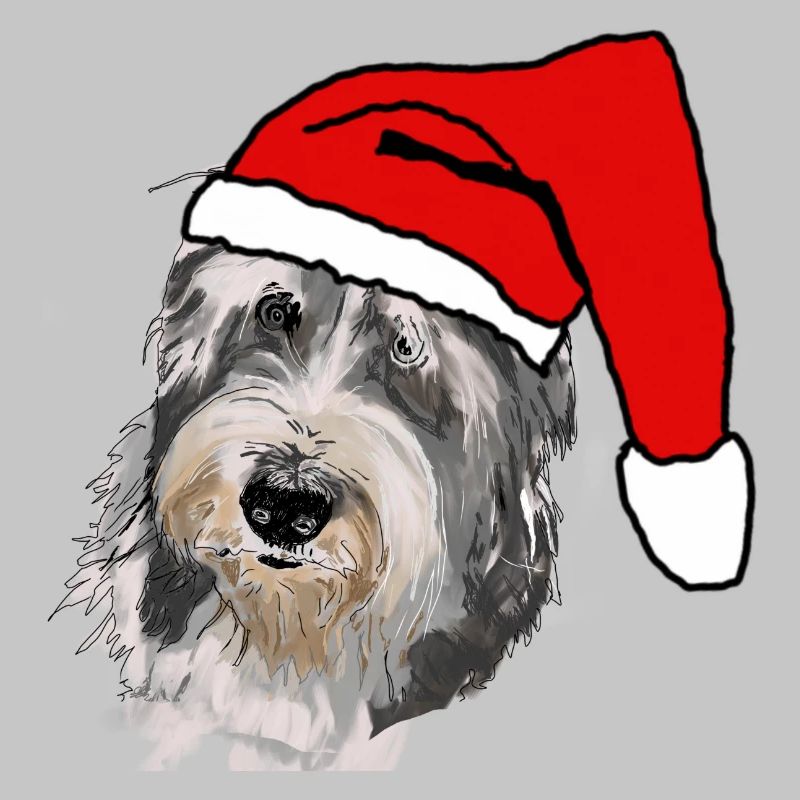 Bearded Collie